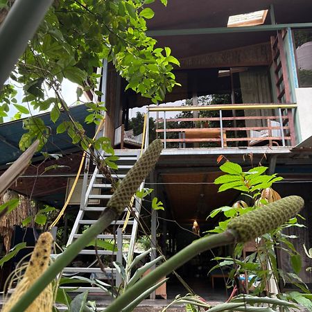 Hotel Organico Punta Riel Cahuita Zewnętrze zdjęcie