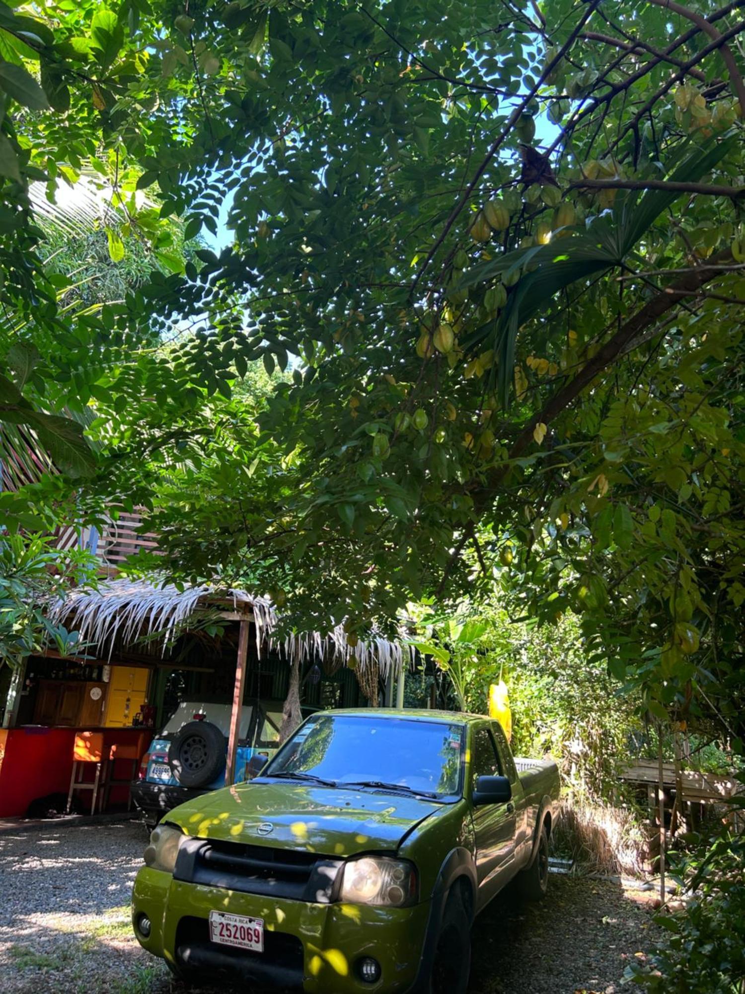 Hotel Organico Punta Riel Cahuita Zewnętrze zdjęcie