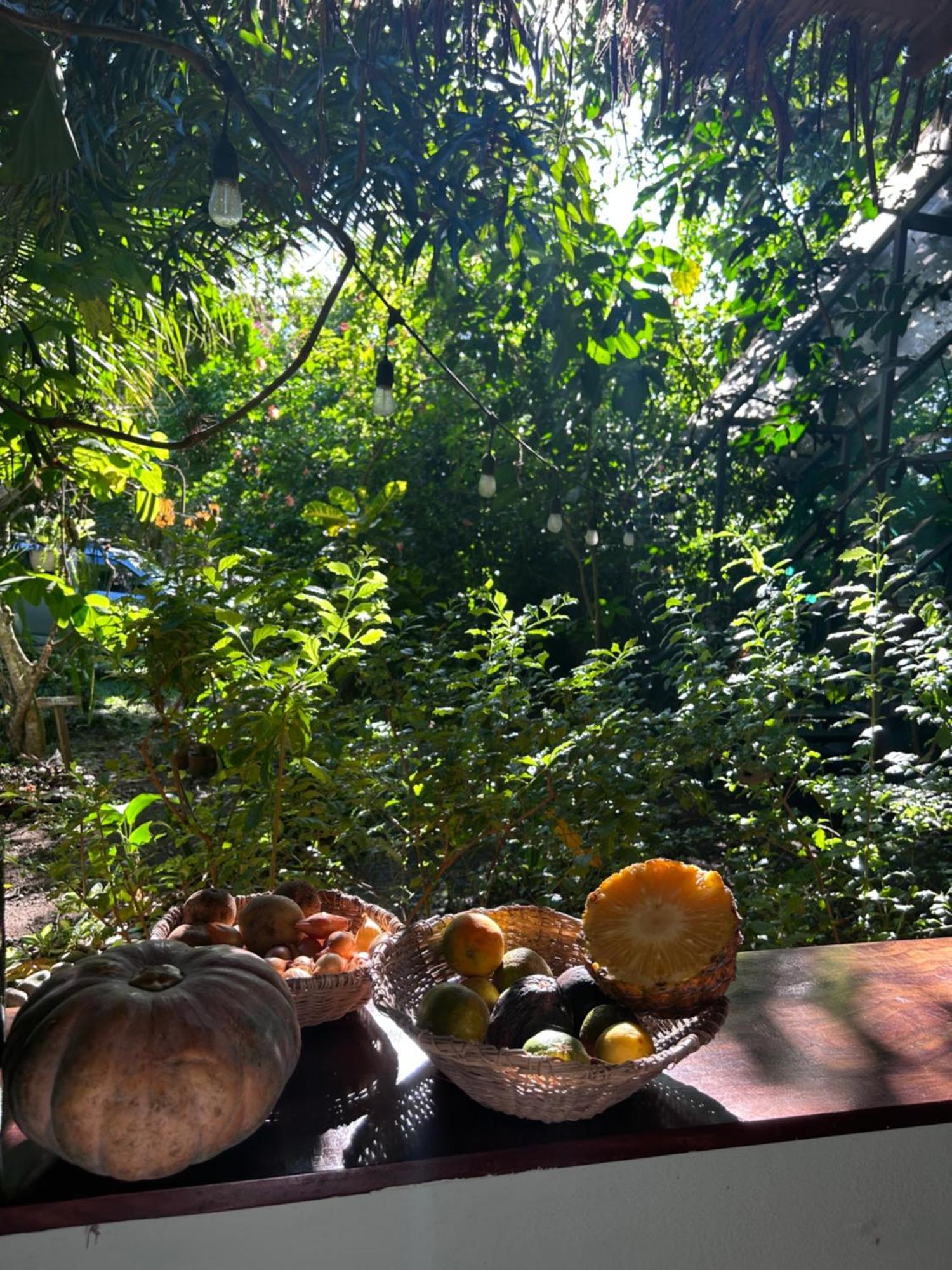 Hotel Organico Punta Riel Cahuita Zewnętrze zdjęcie