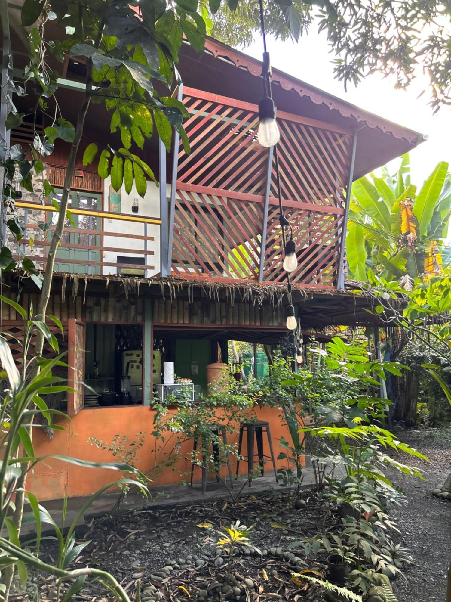 Hotel Organico Punta Riel Cahuita Zewnętrze zdjęcie