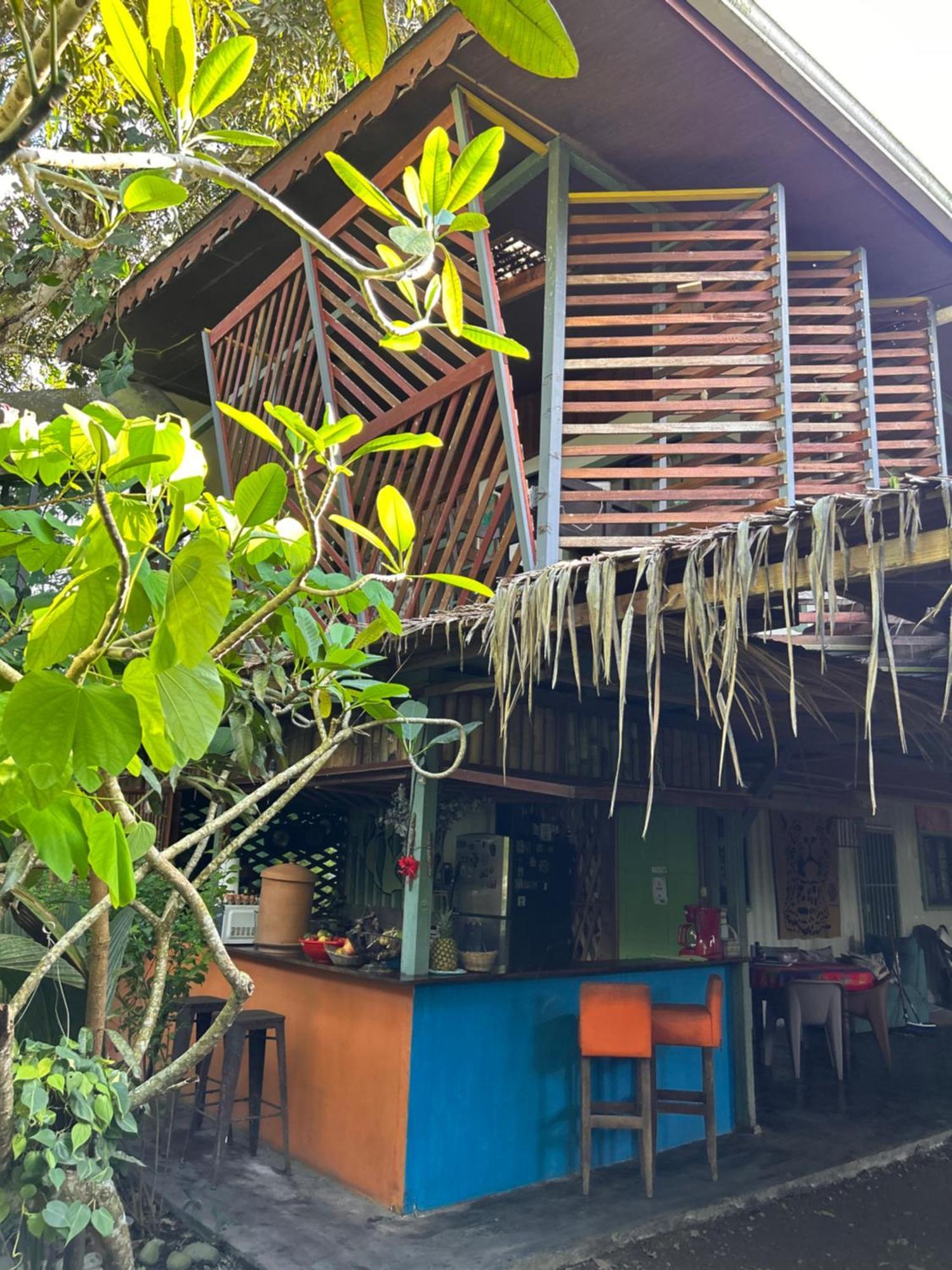Hotel Organico Punta Riel Cahuita Zewnętrze zdjęcie