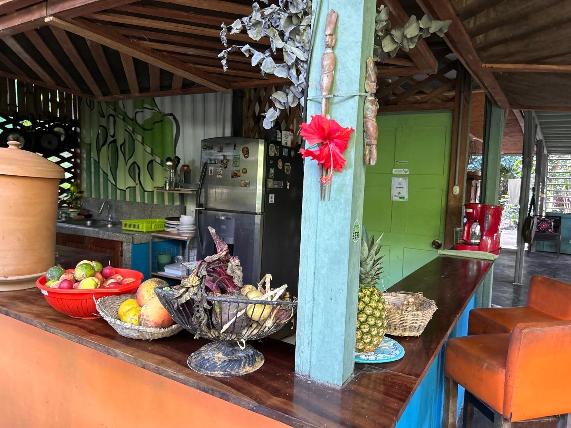 Hotel Organico Punta Riel Cahuita Zewnętrze zdjęcie