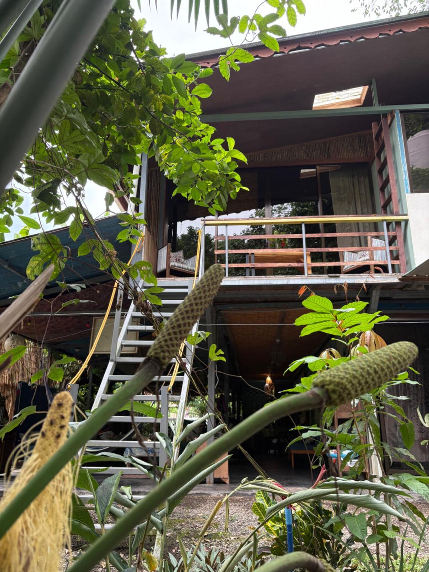 Hotel Organico Punta Riel Cahuita Zewnętrze zdjęcie