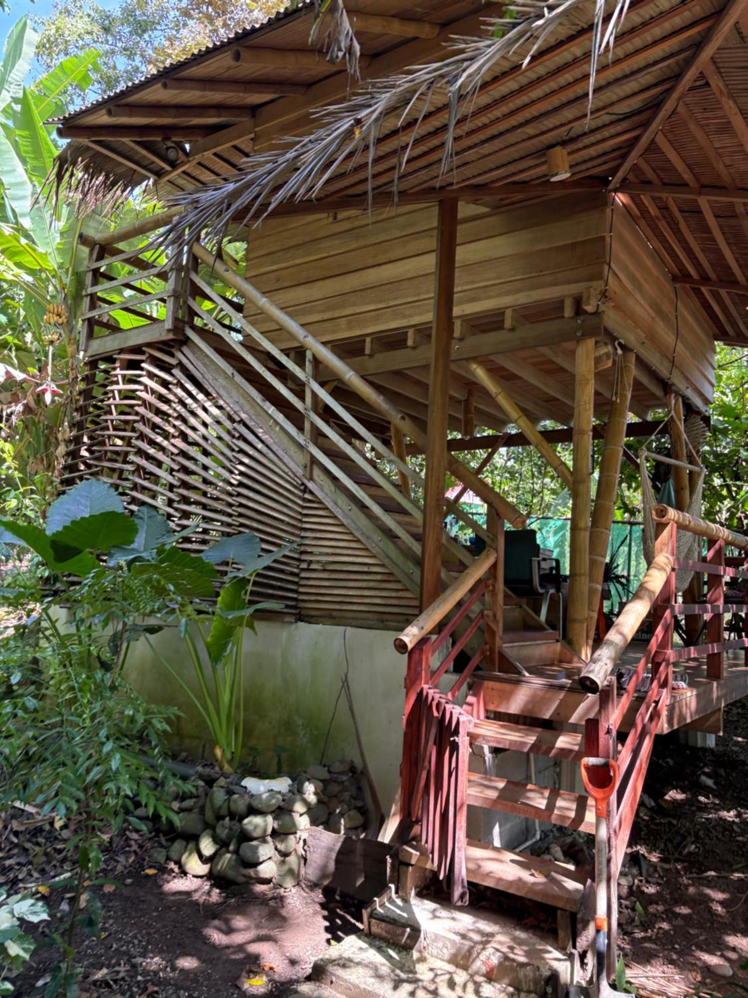 Hotel Organico Punta Riel Cahuita Zewnętrze zdjęcie