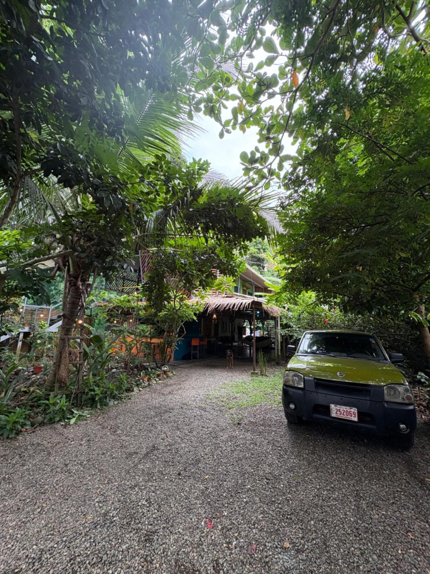 Hotel Organico Punta Riel Cahuita Zewnętrze zdjęcie