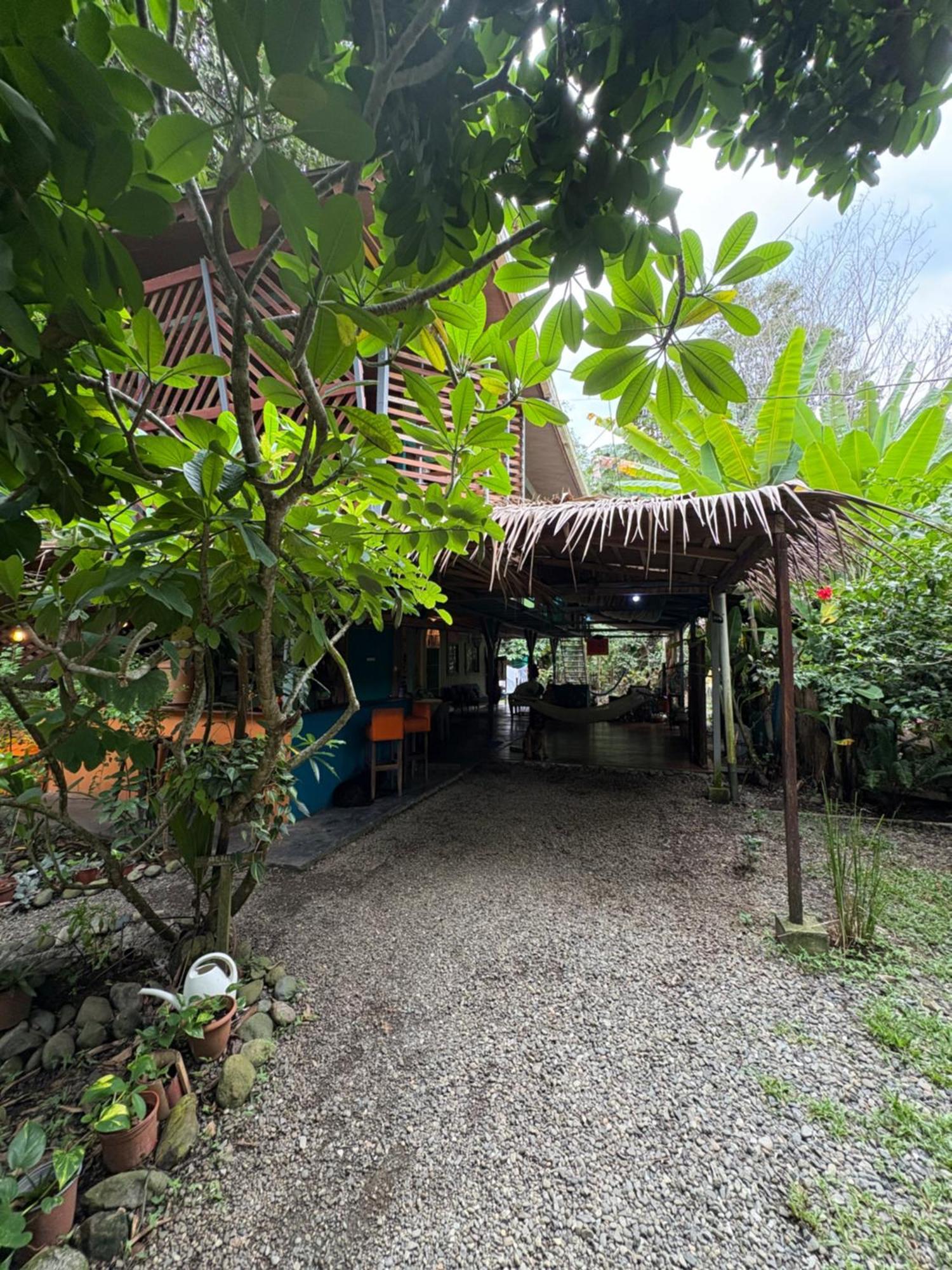 Hotel Organico Punta Riel Cahuita Zewnętrze zdjęcie