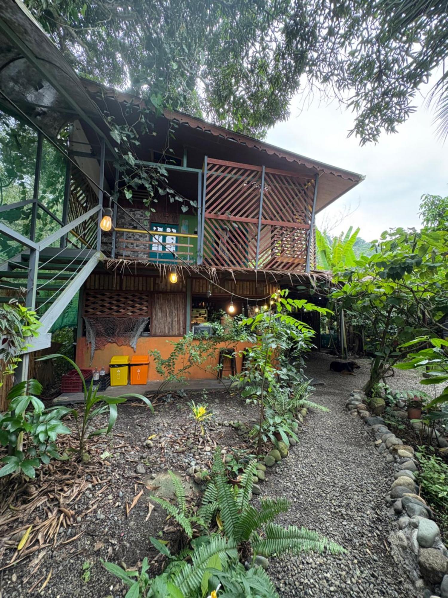 Hotel Organico Punta Riel Cahuita Zewnętrze zdjęcie