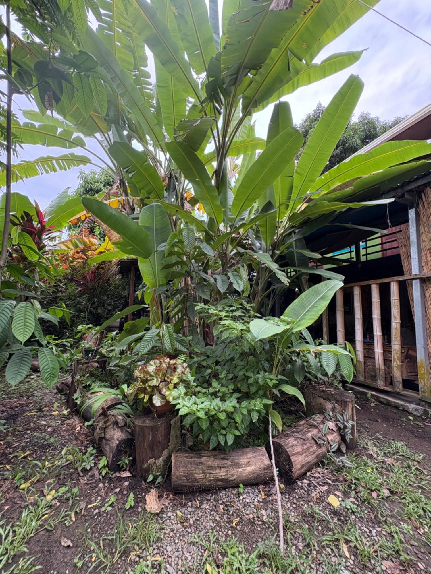 Hotel Organico Punta Riel Cahuita Zewnętrze zdjęcie