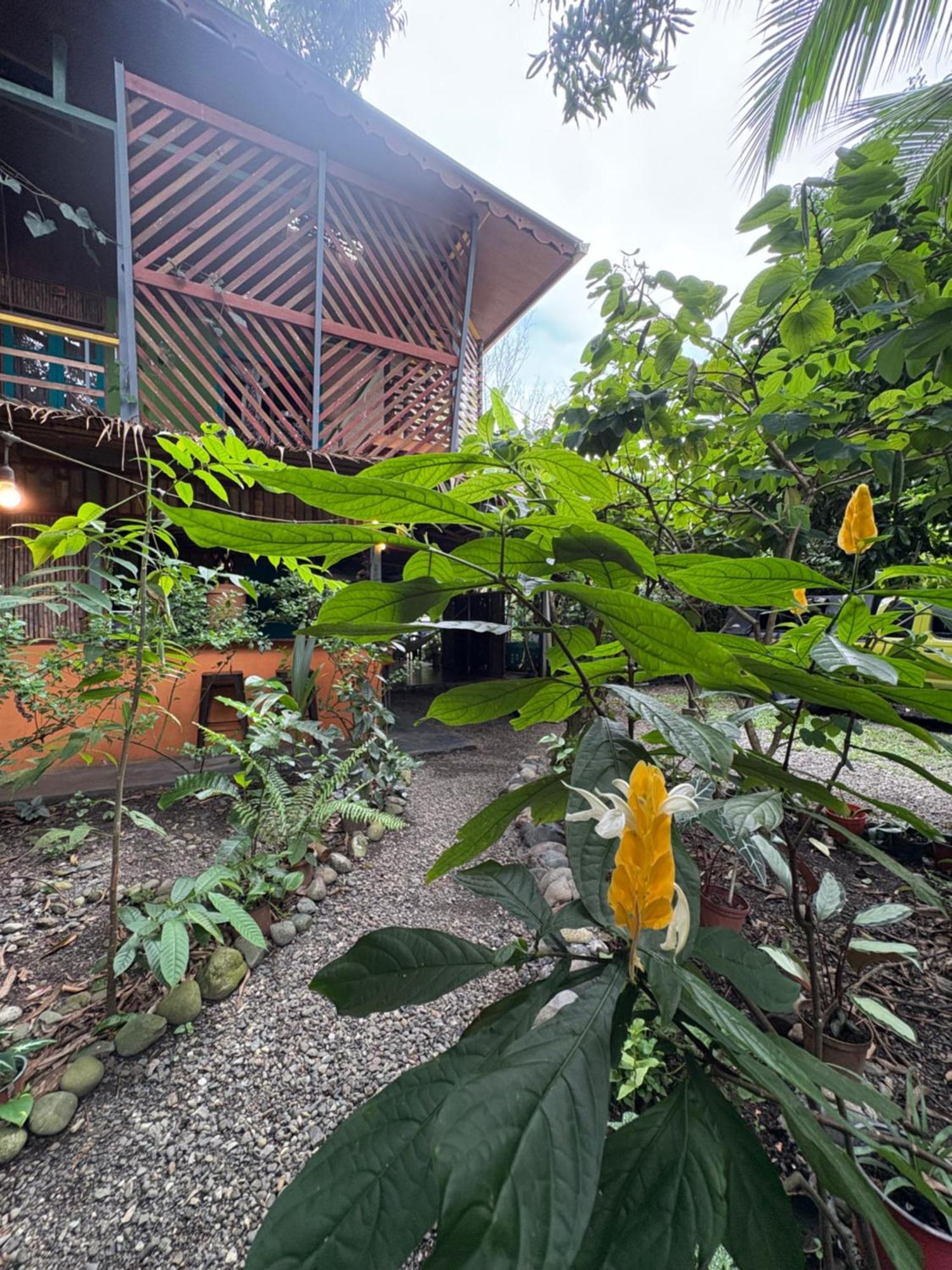 Hotel Organico Punta Riel Cahuita Zewnętrze zdjęcie