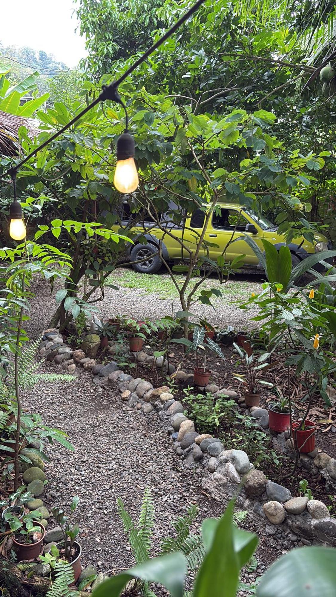 Hotel Organico Punta Riel Cahuita Zewnętrze zdjęcie