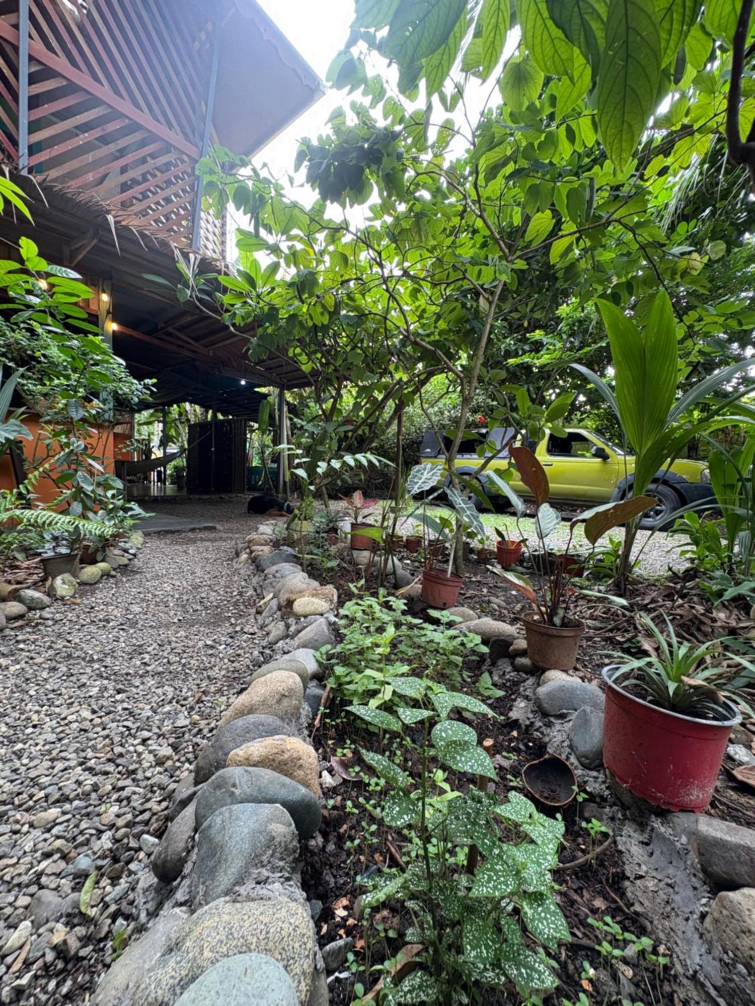 Hotel Organico Punta Riel Cahuita Zewnętrze zdjęcie